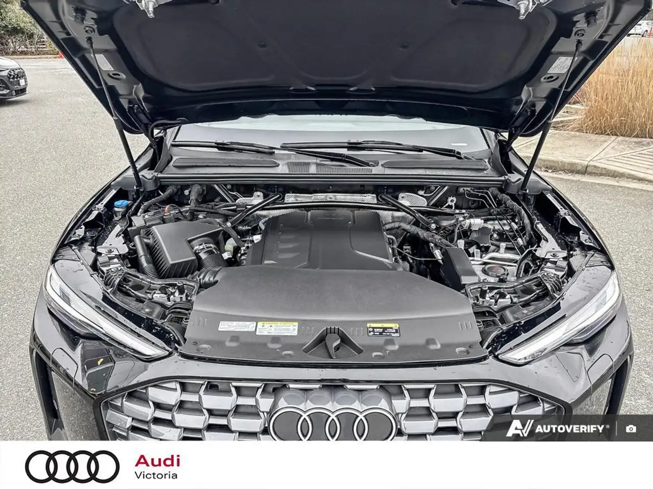 Audi Q5 fotografie Audi Q5