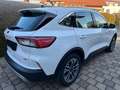 Ford Kuga 2.5 Duratec PHEV Titanium CVT, Navi, TOP! Weiß - thumbnail 7