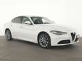 Alfa Romeo Giulia Super ACC|Harman|Kamera|SHZ|WinterPaket Blanc - thumbnail 4