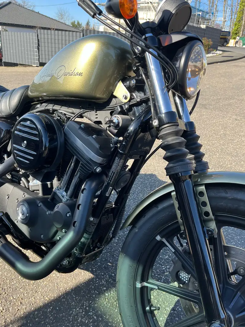 Harley-Davidson Iron 883 Zelená - 2