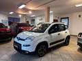 Fiat Panda 1.0 firefly hybrid City Life APPLE CARPLAY Blanc - thumbnail 1