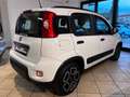 Fiat Panda 1.0 firefly hybrid City Life APPLE CARPLAY Blanc - thumbnail 6