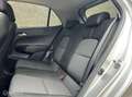 Kia Picanto 1.0 CVVT DynamicPlusLine |Org NL |Camera |Cruise Grijs - thumbnail 21