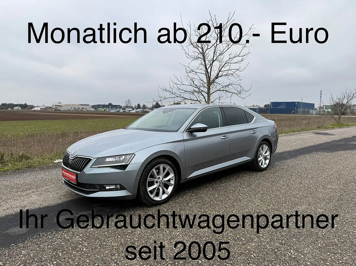 Skoda Superb 1,6 TDI Style DSG **Green TEC Ausstattung** Grau - 1
