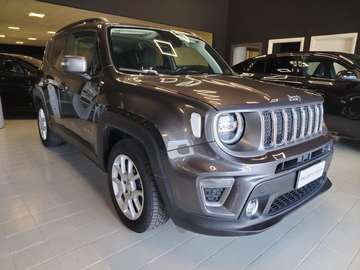 Renegade 1.0 T3 Limited
