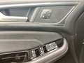 Ford Galaxy 2,0 EcoBlue SCR Titanium Aut. SD, Leder,7 Sitze Gris - thumbnail 6