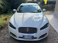 Jaguar XF XF I 2013 Sportbrake Sportbrake 2.2d Luxury 200cv Bianco - thumbnail 1