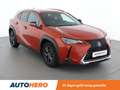 Lexus UX 250h UX 250h Luxe Oranje - thumbnail 8
