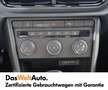 Volkswagen T-Roc Austria TSI Grau - thumbnail 14