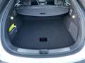 BYD Sealion 7 Excellence AWD Blanc - thumbnail 12