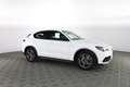 Alfa Romeo Stelvio 2.2 Turbodiesel 210 CV AT8 Q4 Ti Blanc - thumbnail 2