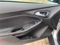 Ford Focus 1,5 TDCi Trend Grau - thumbnail 6