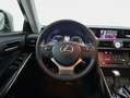 Lexus IS 300 300h Business Silber - thumbnail 11