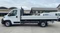 Peugeot Boxer CASSONE  L4 435 2.2 BlueHDi 140 Bianco - thumbnail 8