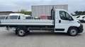 Peugeot Boxer CASSONE  L4 435 2.2 BlueHDi 140 Bianco - thumbnail 4