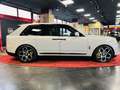Rolls-Royce Cullinan 4-SI CRBON TV BESPO BLACK-BADGE STAR KÜH Grijs - thumbnail 4