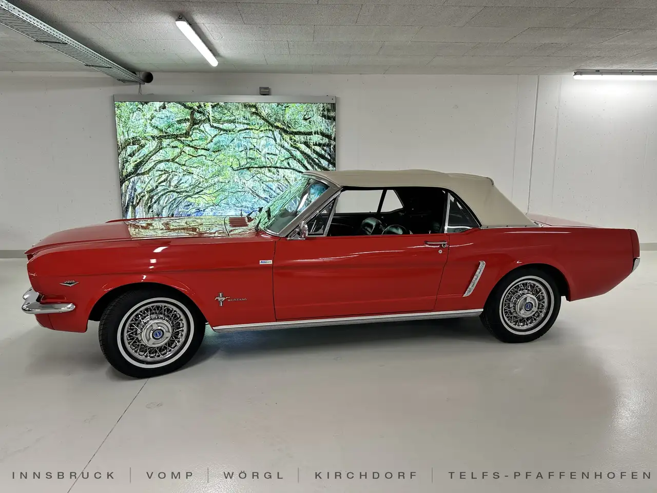 Ford Mustang CABRIOLET V-8 Cabrio, foto 4