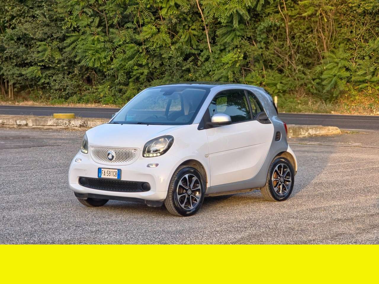 smart forTwo