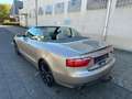 Audi A5 Cabriolet 2.0 TFSI Beige - thumbnail 5