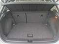 SEAT Arona 1.0 EcoTSI 115CV XCELLENCE Blanc - thumbnail 15