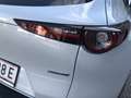 Mazda CX-30 e-Skyactive G140 Homura Aut. AUTO STAHL WIEN 21... Weiß - thumbnail 8