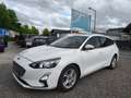 Ford Focus 1,5L EcoBlue 120 PS,* LED, Navi, Kamera,...* Weiß - thumbnail 1