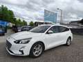 Ford Focus 1,5L EcoBlue 120 PS,* LED, Navi, Kamera,...* Weiß - thumbnail 2
