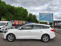 Ford Focus 1,5L EcoBlue 120 PS,* LED, Navi, Kamera,...* Weiß - thumbnail 4