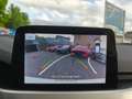 Ford Focus 1,5L EcoBlue 120 PS,* LED, Navi, Kamera,...* Weiß - thumbnail 31