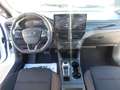 Ford Focus 1.5 EcoBlue120CV automatico SW ST-Line Blanco - thumbnail 10