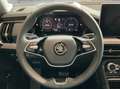 Skoda Kodiaq Selection 2,0 TDI 142 kW 7-Gang automat. 4x4 Schwarz - thumbnail 10