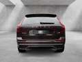Volvo XC60 T8 Plus Dark Recharge Plug-In Hybrid AWD Rot - thumbnail 4