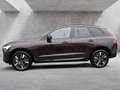 Volvo XC60 T8 Plus Dark Recharge Plug-In Hybrid AWD Rot - thumbnail 5