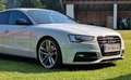 Audi A5 A5 SB 3,0 TDI quattro Sport DPF S-tronic Sport Grau - thumbnail 8