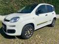 Fiat Panda 0.9 t.air t. natural power Easy 80cv Bianco - thumbnail 7