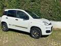 Fiat Panda 0.9 t.air t. natural power Easy 80cv Bianco - thumbnail 6