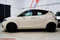 Lancia Ypsilon 1.0 firefly hybrid Silver - Ok neopatentati! Beige - thumbnail 16