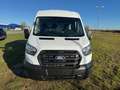 Ford Transit 2.0 Ecoblue EK 350 L2 Trend Weiß - thumbnail 2