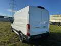 Ford Transit 2.0 Ecoblue EK 350 L2 Trend Weiß - thumbnail 7