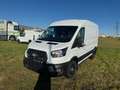 Ford Transit 2.0 Ecoblue EK 350 L2 Trend Weiß - thumbnail 1