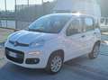 Fiat Panda Panda III 0.9 t.air t. natural power Lounge 80cv Blanc - thumbnail 6