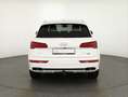Audi Q5 55 TFSIe quattro S-Line LED Navi AHK 360° B&O Bianco - thumbnail 4