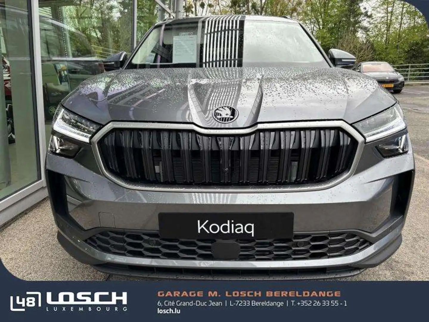 Skoda Kodiaq Selection Gris - 2