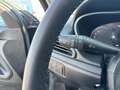 Fiat Tipo Cross FireFly Turbo 100 Garmin*SAFETY PLUS PAKET* Grün - thumbnail 28