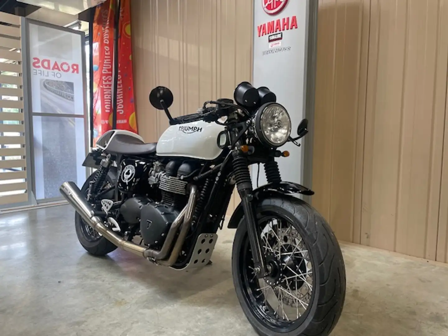 Triumph Thruxton Blanc - 1