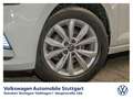 Volkswagen Polo VI Highline 1.0 TSI SHZ APP-Connect Weiß - thumbnail 12