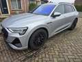Audi e-tron quattro Bns edit. Grey - thumbnail 6