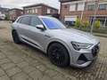 Audi e-tron quattro Bns edit. Grey - thumbnail 5