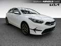 Kia Ceed / cee'd Ceed 1.5 T-GDI DCT7 Spirit Kamera Navi Totwinkel Weiß - thumbnail 5