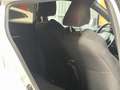 Toyota C-HR 125H Advance Blanco - thumbnail 20